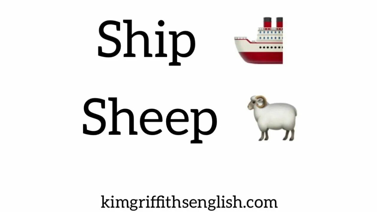 Sheep ship. Sheep on the ship английский. Овцы на корабле. Ship транскрипция. Как по английски будет овца