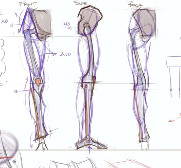 Leg reference