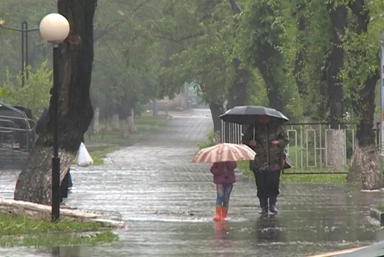 Во сколько завтра начнется дождь. Сильный дождь. Начинается дождь. Очень сильный дождь. Начался сильный дождь.