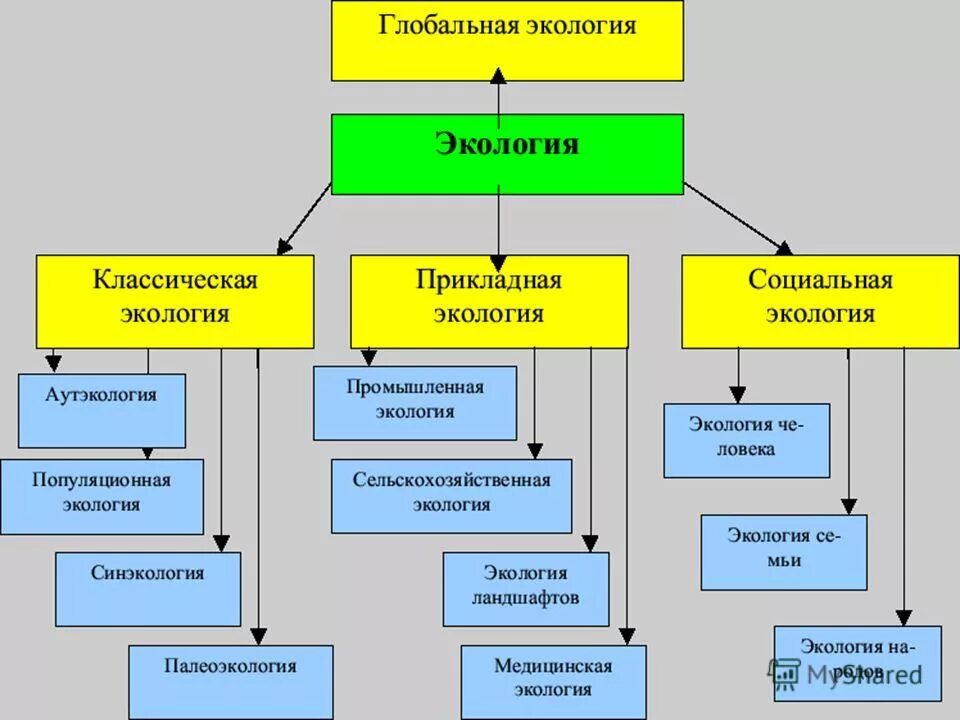 Логическая структура обучения. Логическая структура сайта пример. Логическая структура метода. Логическая структура метода обучения. Схема методов обучения педагогика.