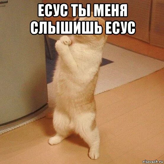 Слышно форум
