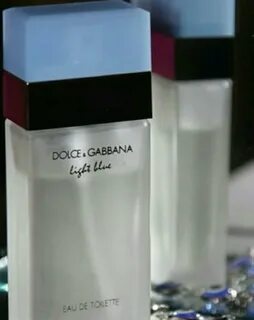 Gabbana blue