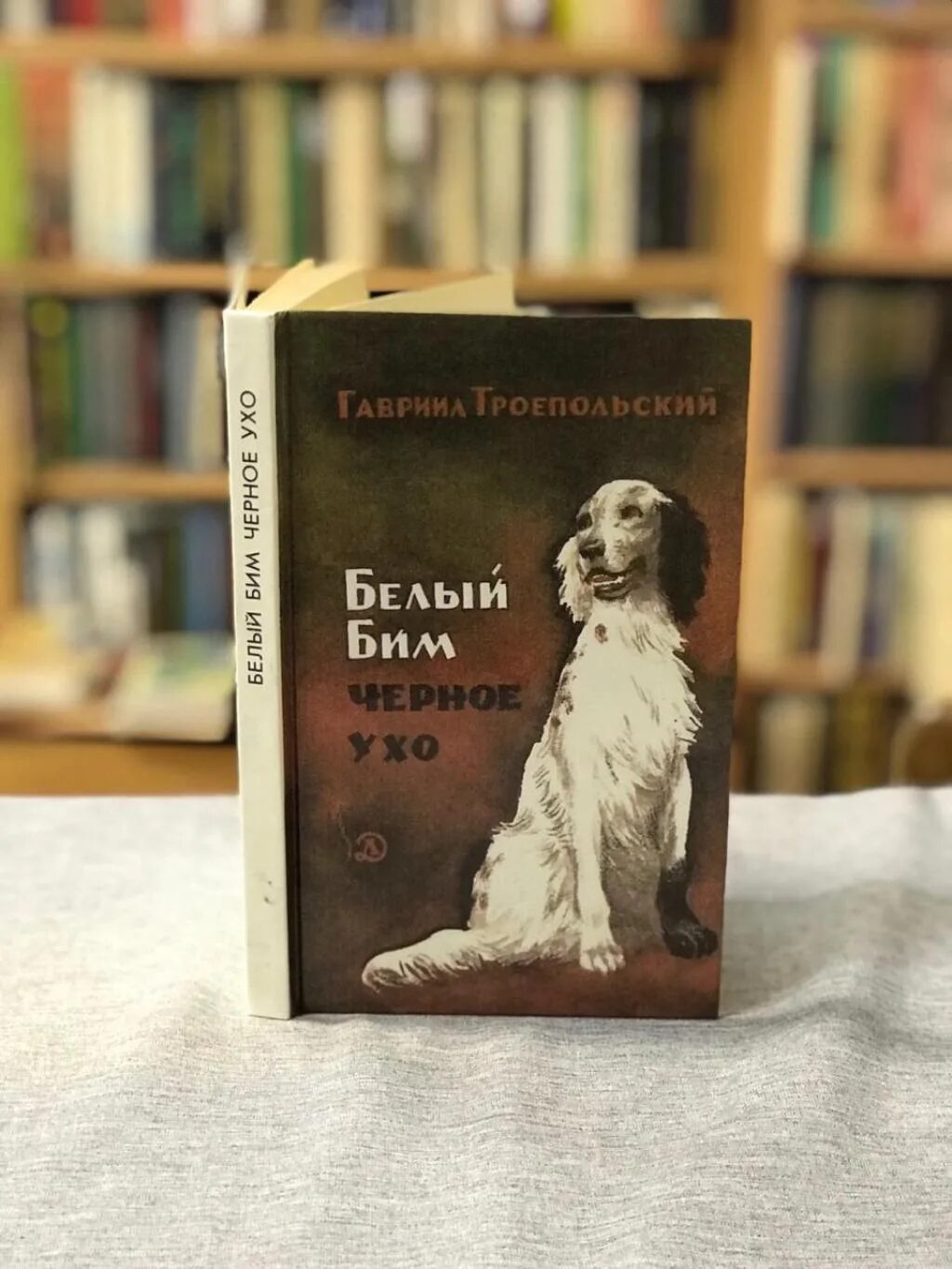 Бим черное ухо слушать. Г н троепольский белый бим черное ухо. повесть троепольского белый бим черное ухо.