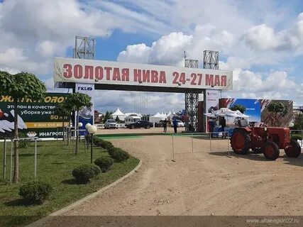 Золотая нива казань