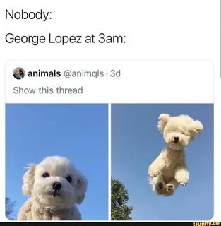 Is george lopez gay. 