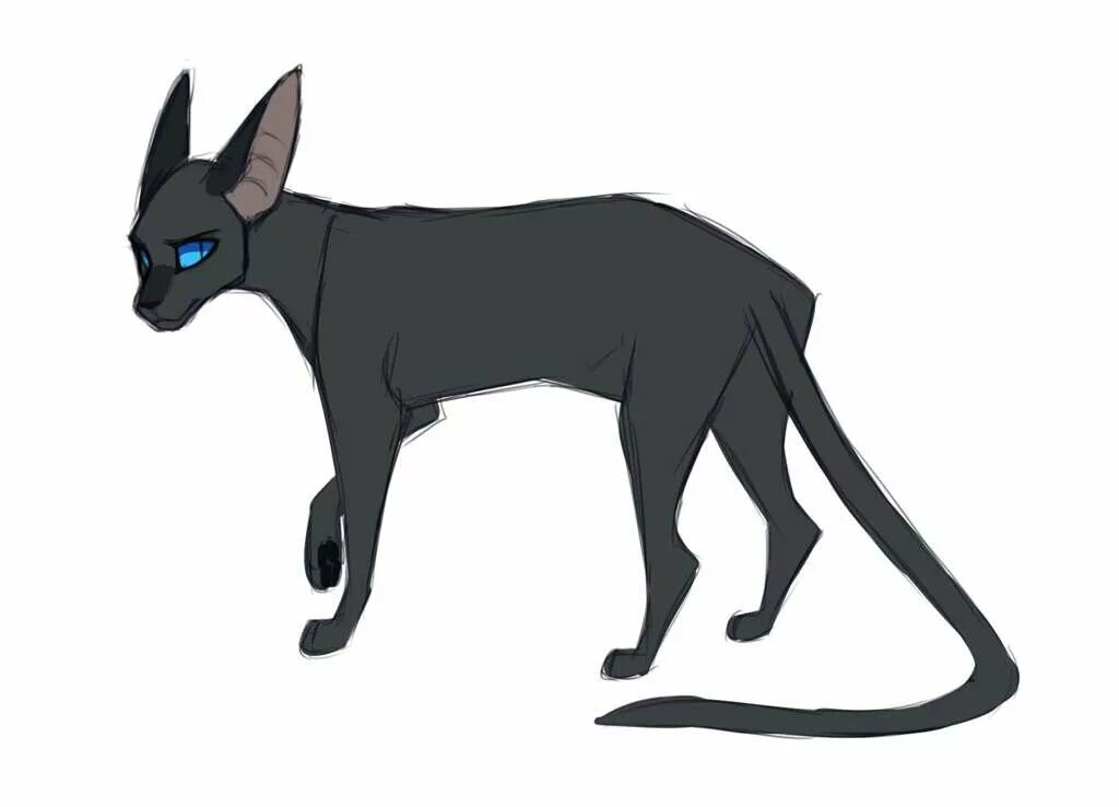 Коты воители songsteps кот. Коты воители сонгстепс. crowfeather коты воители. коты воители от songsteps. warrior cats crowfeather.