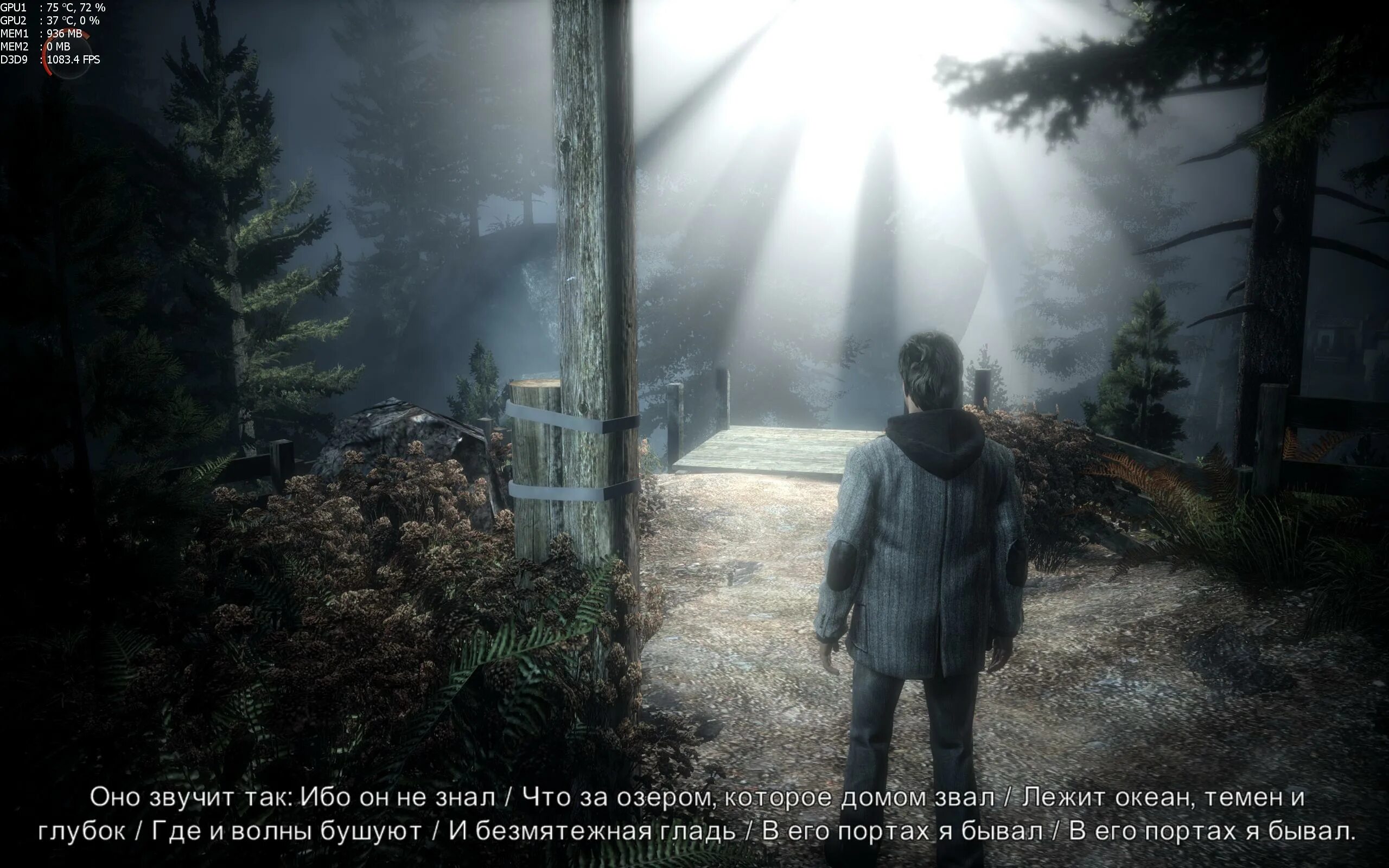 Драйвер gpu устарел alan wake. Алан вейк темная сущность. роуз алан вейк. alan wake карта. алан вейк жена.