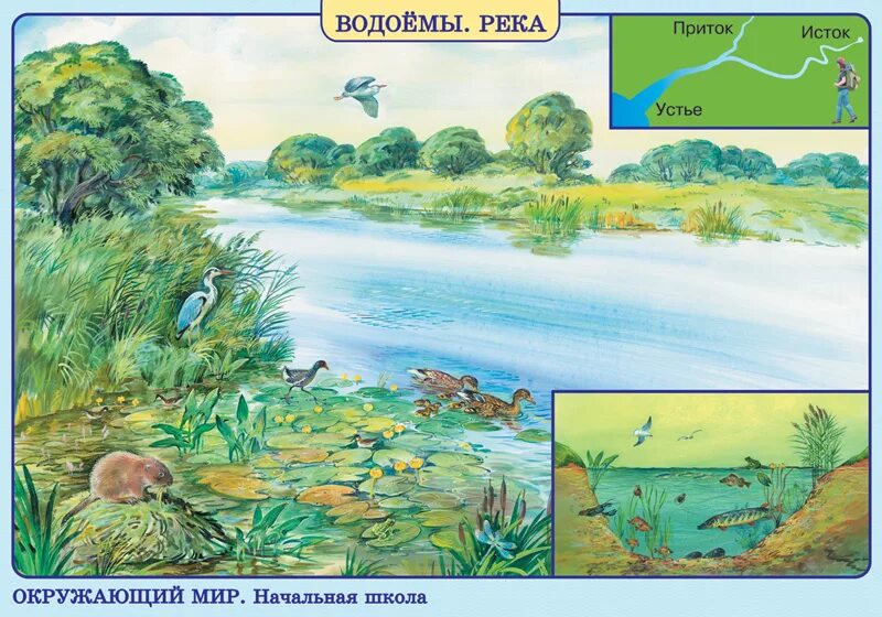 На каком рисунке изображен водоем. Водоемы окружающий мир. окружающий мир пруд. плакат водоемы. виды водоемов для детей.