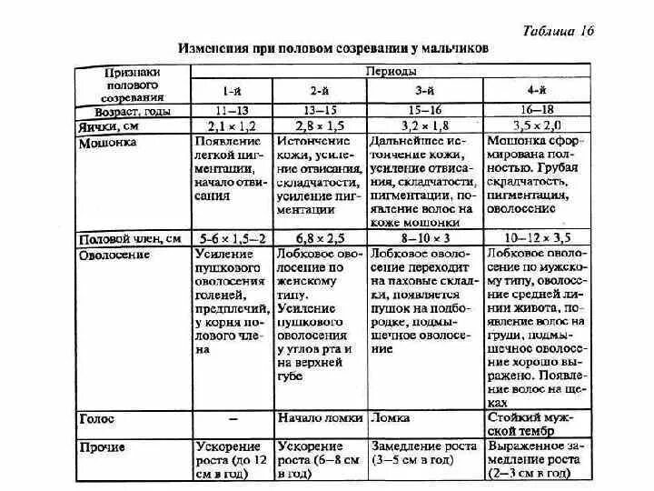 Половые органы строение функции. Функции органов мужской половой системы таблица. Строение и функции мужской репродуктивной системы таблица. Строение мужской половой системы таблица. Особенности строения репродуктивной системы таблица.