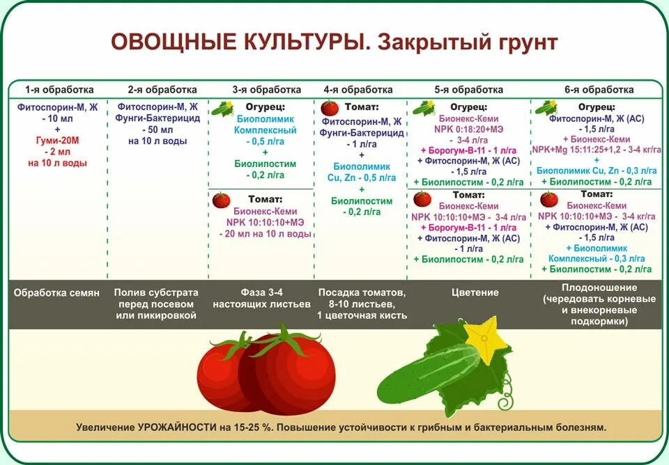 Как обрабатывают овощи. Схема подкормки помидор. Схема обработки томатов удобрениями. Схема подкормки томатов от рассады до сбора. Схема удобрения томатов в открытом грунте.