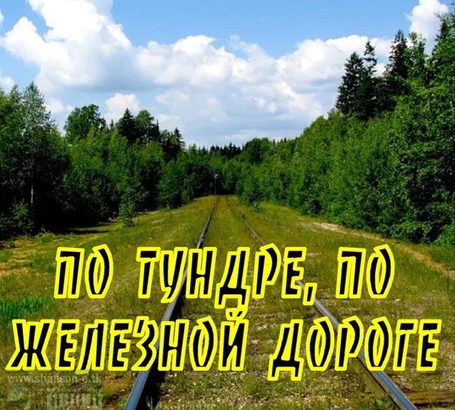 По тундре по широкой. По тундре по железной дороге. Песня по тундре. По тундре по широкой дороге. Жизнь моя железная дорога.