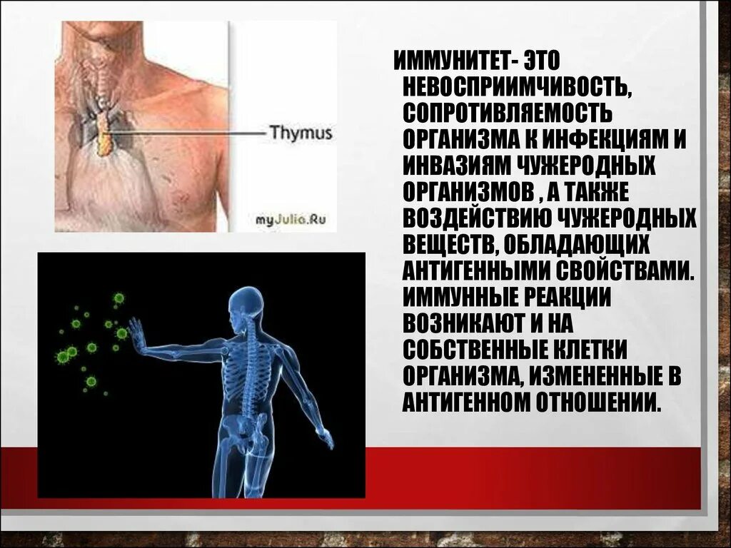 Иммунитет иммунные реакции. Иммунная реакция. Реакции иммунной системы. Иммунная реакция организма.