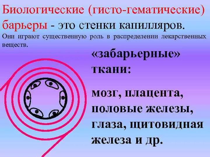 Биологические барьеры в фармакологии. Биологические барьеры. Биологические барьеры организма. Биологические барьеры организма в фармакологии. Биологические барьеры.