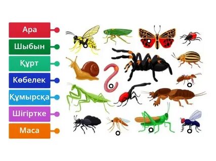 Әйелдердің уретральды фистинг порносы