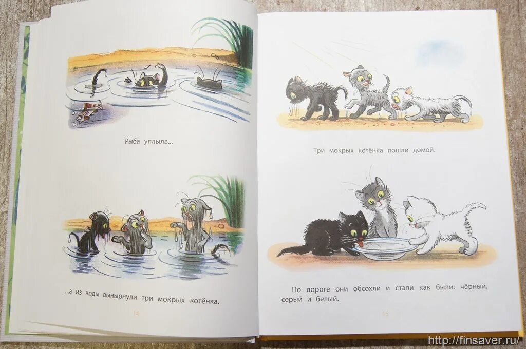 Сутеев владимир григорьевич сказки. Щенок рыбка кто сказал мяу. Книга в мире сказок сутеева. Пересказ кто лучше сутеев. Пересказ кто лучше сутеев.
