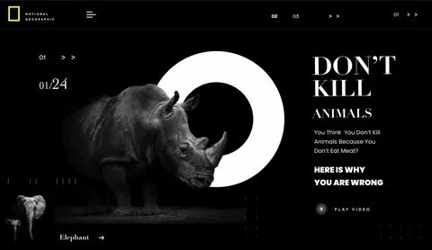 Because animals
