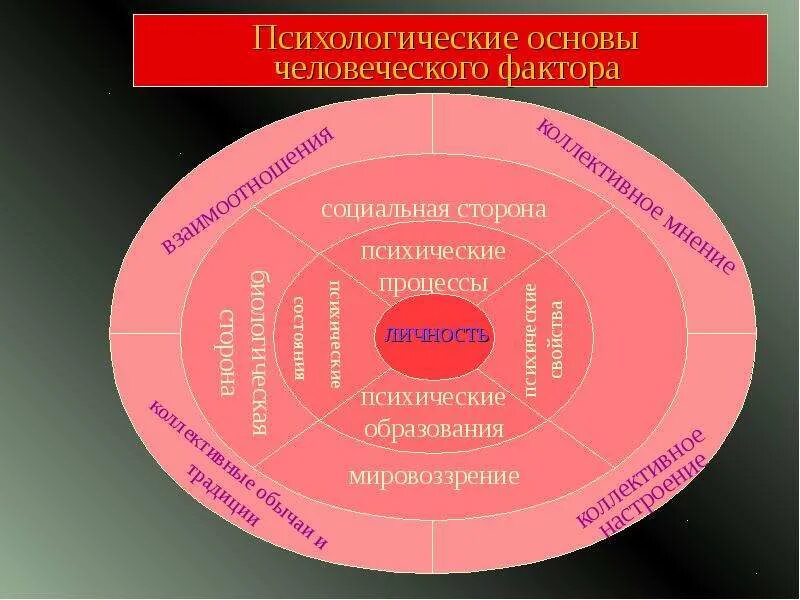 Как соотносятся понятия человек и личность. Соотношение понятий индивид личность индивидуальность. индивид, индивидуальность и личность, их взаимосвязь. соотношение человек индивид личность индивидуальность. связь личности индивида и индивидуальности.