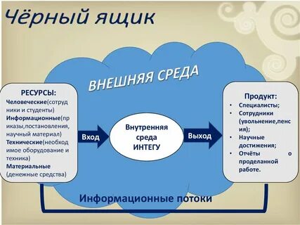 Система черный ящик информатика