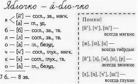 Слово мягкая разобрать
