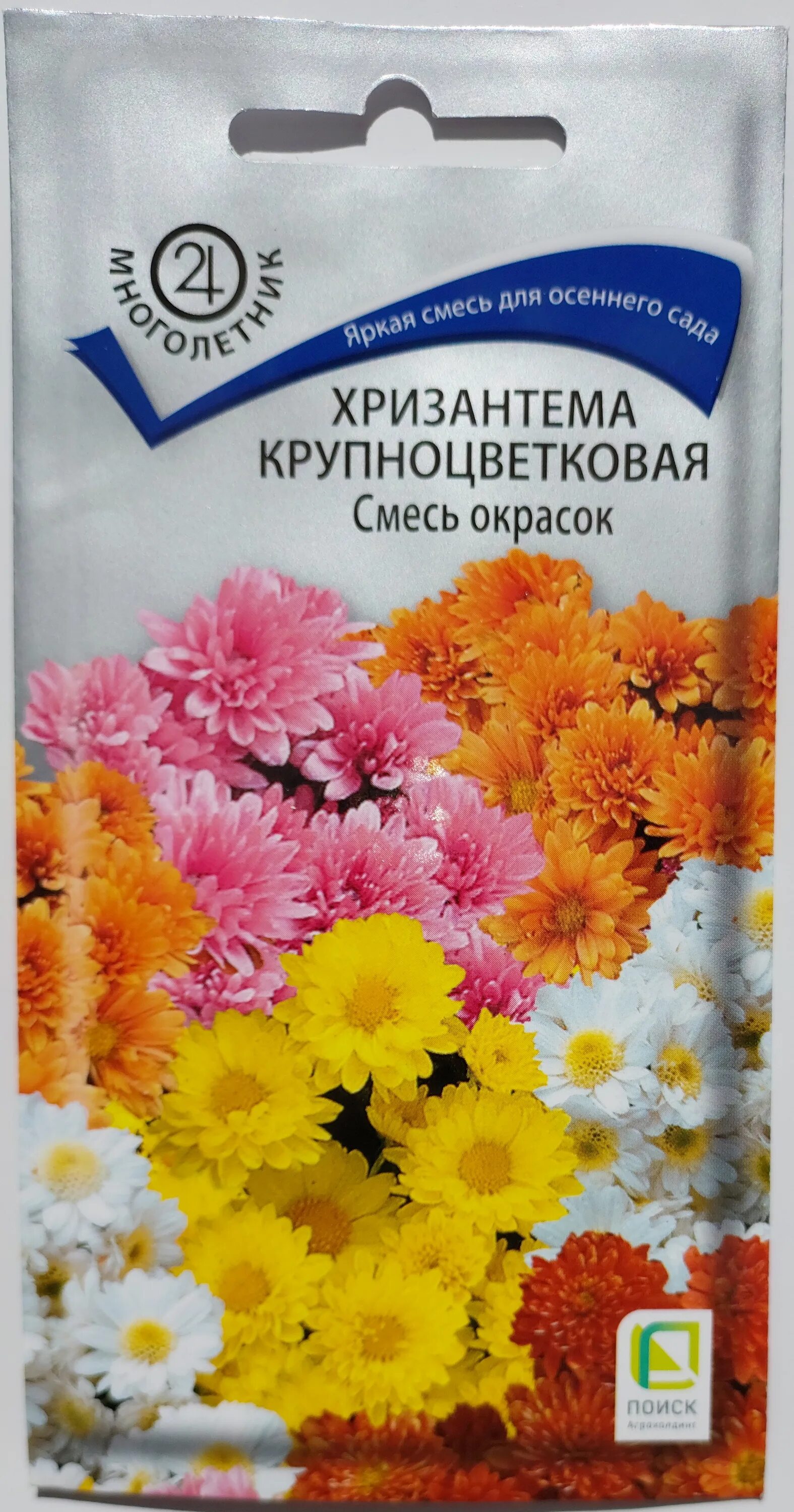 Хризантема махровая смесь. Смесь 0,3г. Хризантема дунетти. Хризантема махровая смесь. Хризантема махровая смесь.
