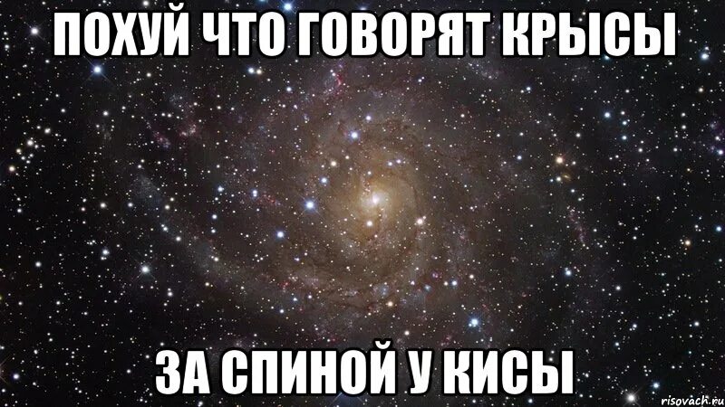 Не важно что за спиной у кисы. Похуй что говорят за спиной у кисы. Похуй на крыс за спиной у кисы. Похуй что говорят крысы за спиной. За спиной у кисы.