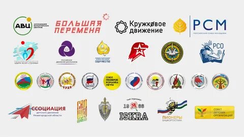 Список детских общественных организаций