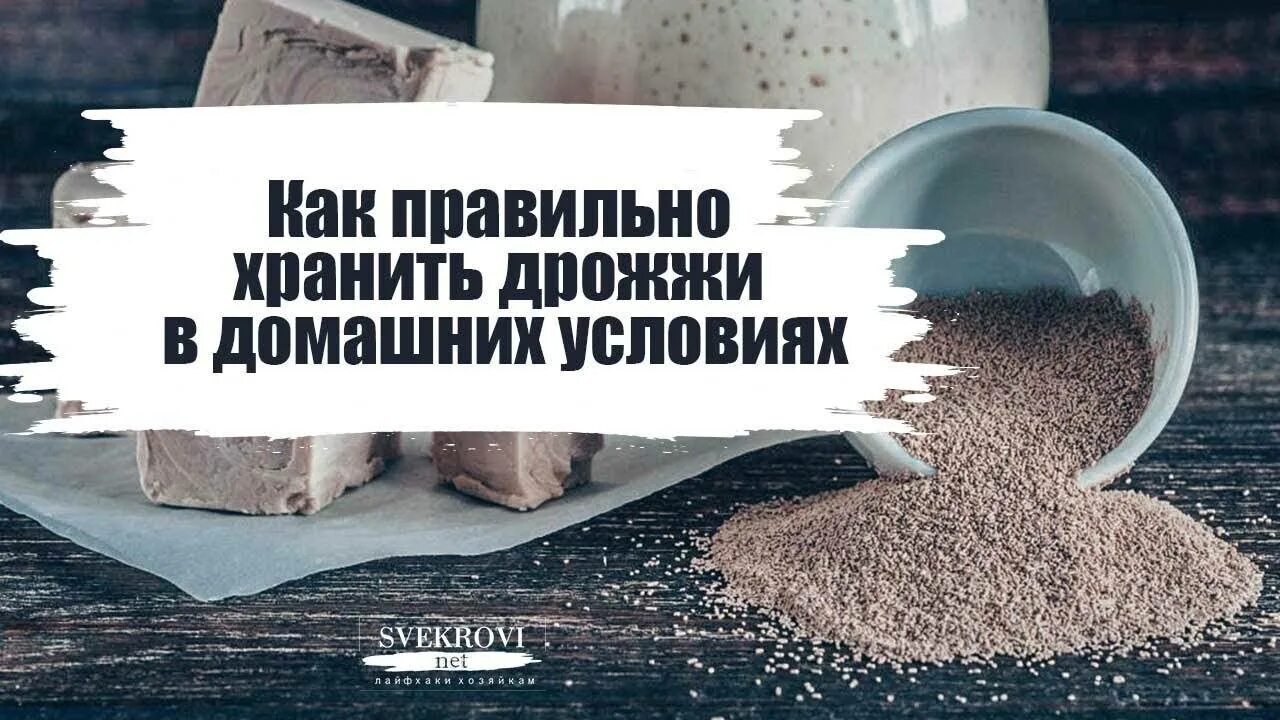 Сколько можно хранить дрожжи в морозилке. Хранение дрожжей. хранение прессованных дрожжей. хранение прессованных дрожжей на производстве. как хранить дрожжи.