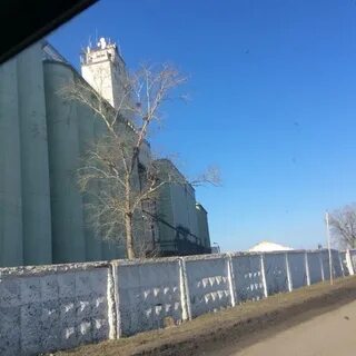Элеваторы курска