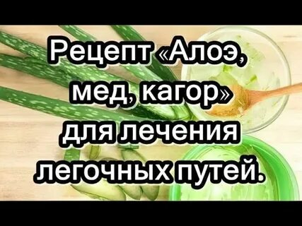 Настойка алоэ и кагор отзывы