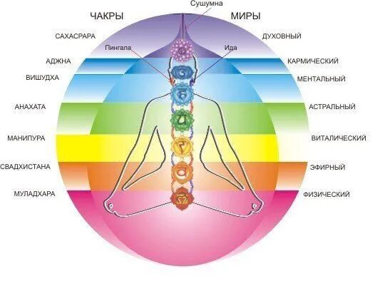 10 сефирот древа жизни. Человек часть вселенной. План мероприятий по духовно-нравственному воспитанию. Чакры человека муладхара вишудха манипура аджна. Работа в духовном плане.