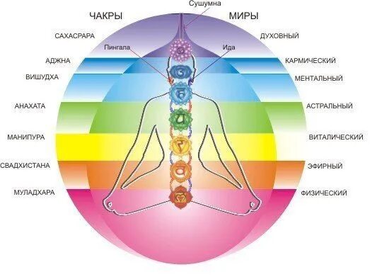 Духовный это какой. Чакры человека 7 чакр энергетики. Энергетические центры человека чакры и тонкие тела. Тонкие тела и чакры. Энергетическое строение человека.