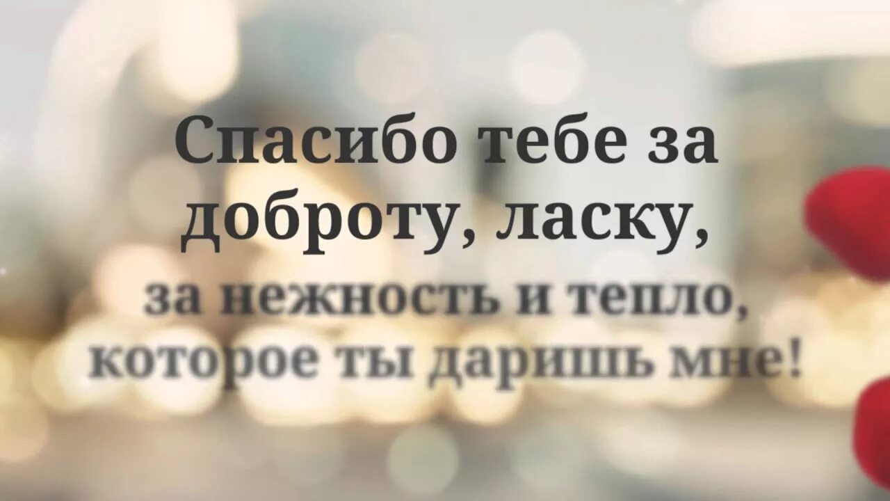 Спасибо за заботу и внимание. Спасибо за ласку и заботу. Благодарность мужчине за внимание. За ласку доброту заботу. Ручки с надписями подарочные.