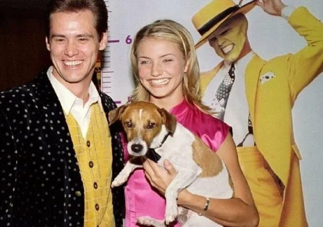 Vollständig trocken Mehrdeutig Mutter jack russell wiki Moral Schlacht Methan