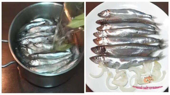 Посолить мойву быстро и вкусно. Мойва пряного посола в домашних. Посолить мойву быстро и вкусно. Малоротка пряного посола. Красноглазка пряного посола.