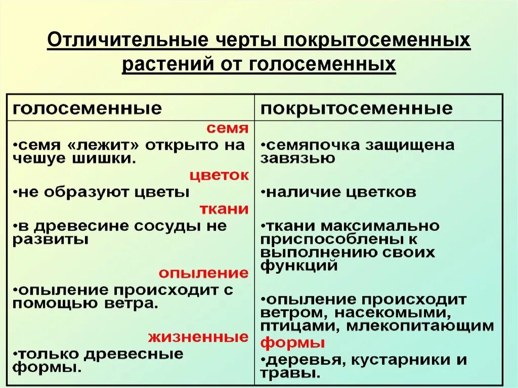 Каков основной отличительный признак. Основная характеристика покрытосеменных растений. Общая характеристика покрытосеменных растений 6 класс биология. Отдел Покрытосеменные растения общая характеристика. Особенности строения покрытосеменных растений 7 класс.