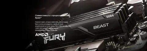 Fury beast black xmp