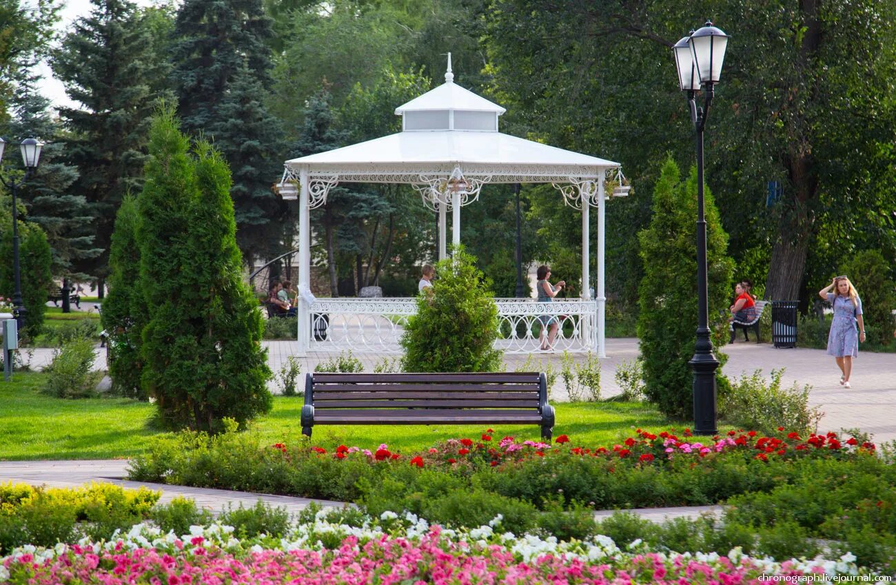 Сады самары. Ботанический сад 2023 самара. Сады самары. Струнеский парк самара. Струковский парк в самаре.