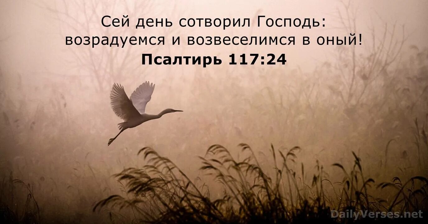 Этот день сотворил господь. Сей день сотворил Господь возрадуемся. Сей день сотворил Господь возрадуемся и возвеселимся в оный картинки. Сей день сотворил Господь, возрадуемся же и возвеселимся в оный! (. Psalms.
