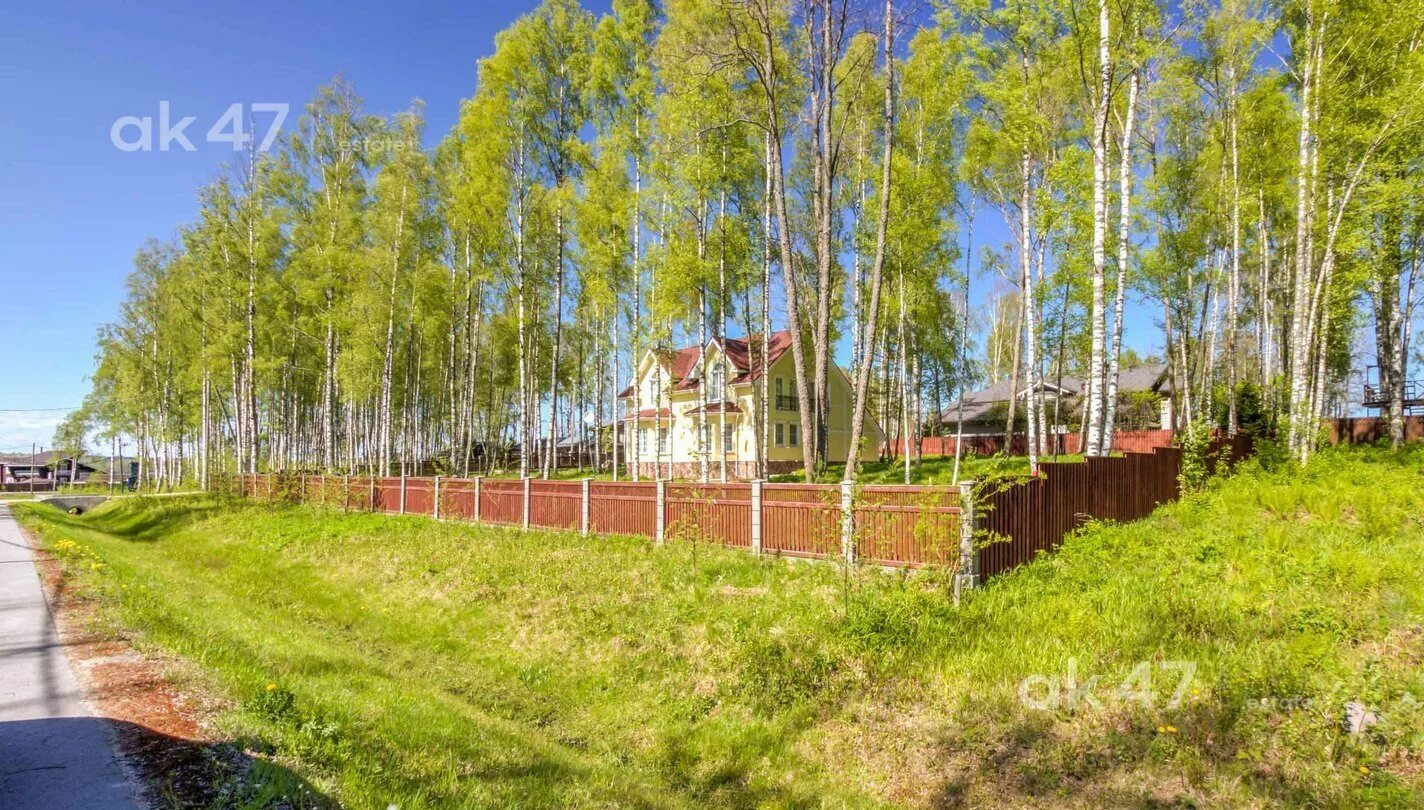 Запрудня озеро солнечный берег. Парк солнечный берег талдом. Ппрк в запрудне солнечный берег. Солнечный берег запрудня фото. Солнечный берег запрудня фото.