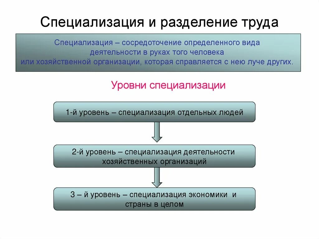 Какова роль разделения. Разделение труда и специализация Обществознание 8 класс. Разделение труда и специализация схема. Разделение труда и специализация примеры. Общественное разделеник руда мпецили зация и.