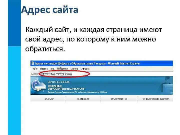 Как называется адрес сайта. Адрес сайта. адрес любого сайта. адрес компании на сайте. что такое адрес портала.