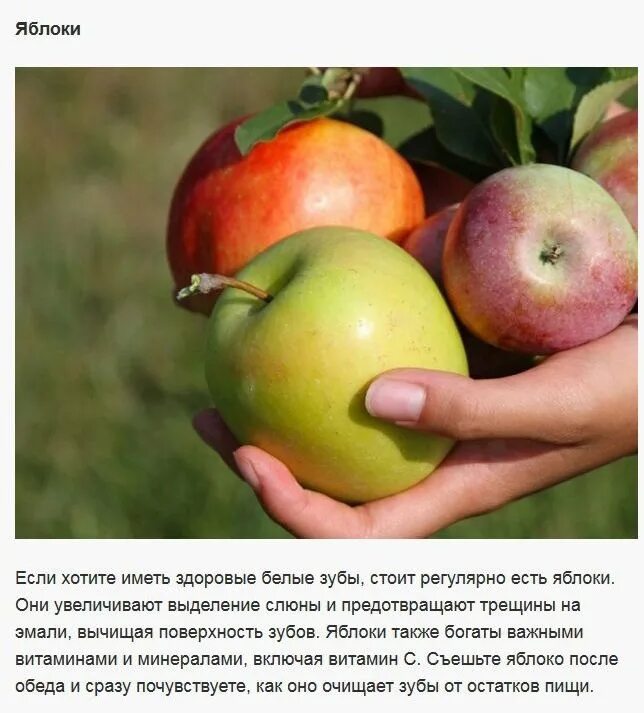 яблоко после обеда. яблок хочется. яблочная диета картинки. красивые яблоки. яблоко после еды.