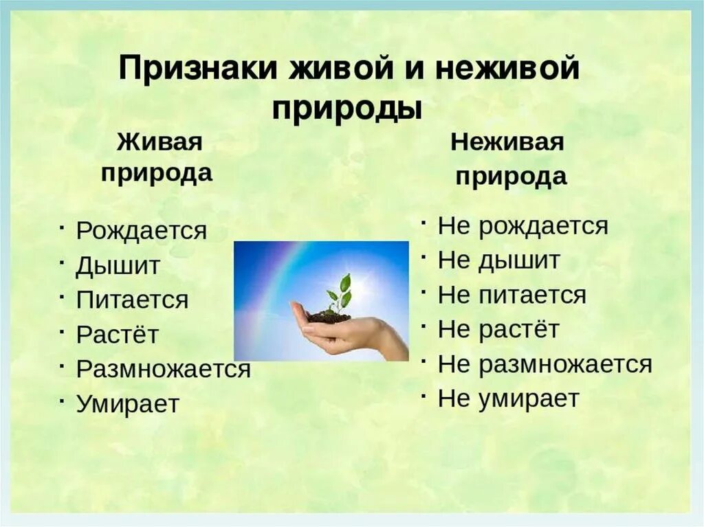 Факты неживой природы. Живая и неживая природа. Живая и неживая приролд. Живая и недива ЯПРИРОДА. Живая и неживая природа 1 класс.