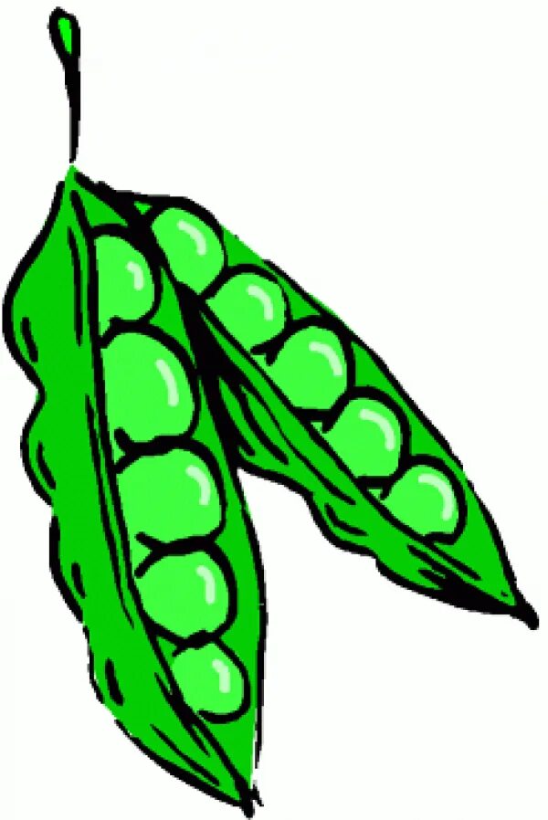 Peas слово