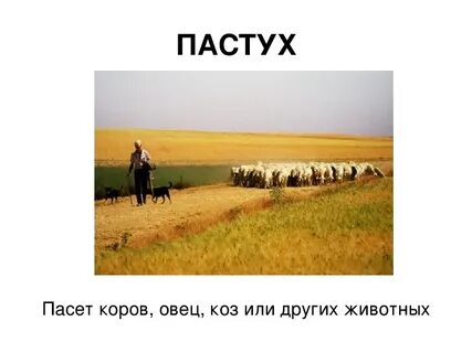 После или пасли