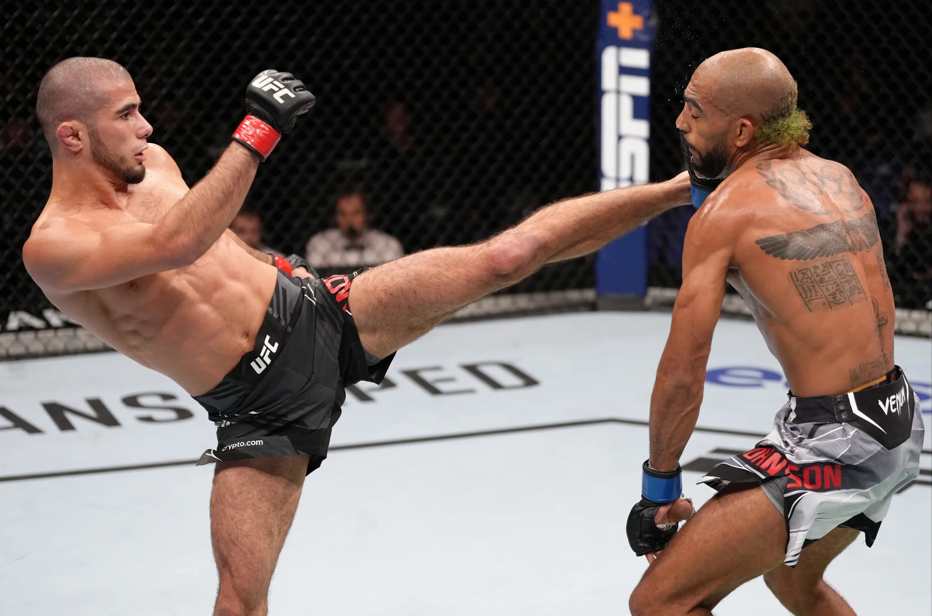 Мокаев ufc. Мокаев фильо. Мухаммад мокаев ufc. Мокаев юфс. Мухаммад мокаев юфс 286.