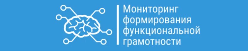 Мониторинг формирования функциональной грамотности. Мониторинг формирования функциональной грамотности это проект. Мониторинг функциональной грамотности обучающихся. Мониторинг формирования функциональной грамотности обучающихся. Https skiv instrao ru bank zadaniy