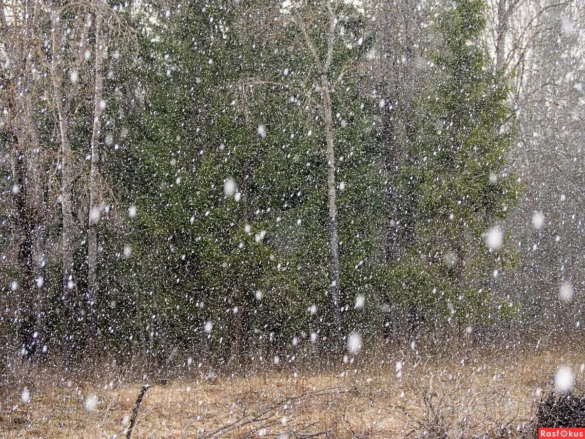 снег идет. морось зимой. обложной снег. метель в окне. зима ночь.