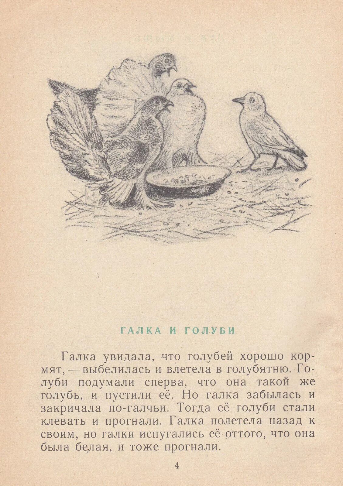 Голубка читать полностью. Лев николаевич толстой муравей и голубка. басня льва николаевича толстого муравей и голубка. рассказы л н толстого муравей и голубка.