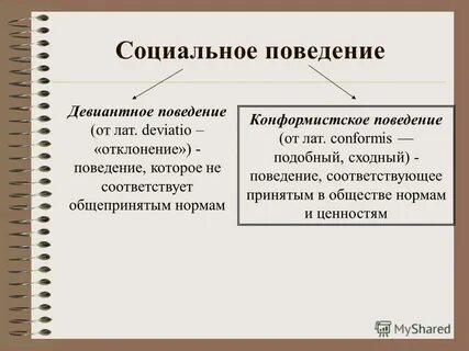 Формы поведения человека в социальной группе